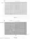 Fig. 06 - Methods and systems for generating a magnification region in output video images