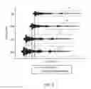 Fig. 04 - VOICE ACTIVATION SYSTEM OF A VEHICLE