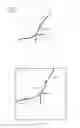 Fig. 67 - Mechanisms for utilizing a model space trim curve to provide inter-surface continuity