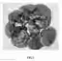 Fig. 02 - Method for identifying the molecular configuration of ganoderic acid A from 