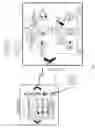 Fig. 13 - Training system for use with janitorial and cleaning products