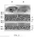 Fig. 03 - Electronic device, iris recognition method and computer-readable medium