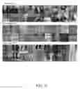 Fig. 03 - Pose-aligned networks for deep attribute modeling