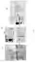 Fig. 02 - System and method of identifying an image containing an identification document