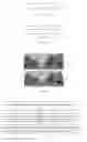 Fig. 02 - IMAGE RECTIFICATION METHOD AND DEVICE, AND STORAGE MEDIUM
