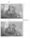 Fig. 13 - Semi-automated system for real-time wound image segmentation and photogrammetry on a mobile platform