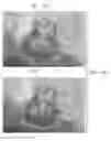 Fig. 14 - Semi-automated system for real-time wound image segmentation and photogrammetry on a mobile platform