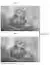 Fig. 15 - Semi-automated system for real-time wound image segmentation and photogrammetry on a mobile platform