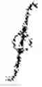 Fig. 02 - Image segmentation based on a shape-guided deformable model driven by a fully convolutional network prior