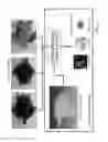 Fig. 05 - Dynamic real-time texture alignment for 3D models
