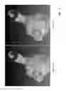 Fig. 10 - Dynamic real-time texture alignment for 3D models