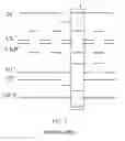 Fig. 03 - Driving circuit, display device and driving method