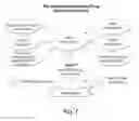 Fig. 08 - Interrogatory cell-based assays for identifying drug-induced toxicity markers
