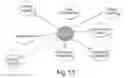 Fig. 14 - Interrogatory cell-based assays for identifying drug-induced toxicity markers