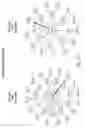 Fig. 35 - Interrogatory cell-based assays for identifying drug-induced toxicity markers