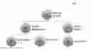 Fig. 01 - SYSTEMS AND METHODS FOR BIOLOGICAL DATA MANAGEMENT