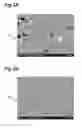 Fig. 04 - Ferrite sintered magnet
