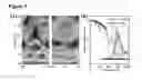 Fig. 05 - Two-dimensional Dirac half-metal ferromagnets and ferromagnetic materials for spintronic devices