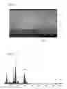 Fig. 09 - Electron emission device and method for manufacturing the same