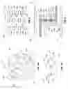 Fig. 02 - Integrated circuit structures in package substrates