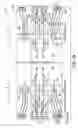 Fig. 33 - Apparatuses comprising semiconductor dies in face-to-face arrangements