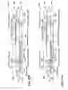 Fig. 35 - Apparatuses comprising semiconductor dies in face-to-face arrangements