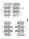 Fig. 02 - Unidirectional self-aligned gate endcap (SAGE) architectures with gate-orthogonal walls
