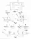 Fig. 02 - Satellite telecommunications system comprising an optical gateway link and a radio gateway link, and control method