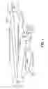 Fig. 02 - Obscured retrieval sequence for information centric networking (ICN) encoded video streams