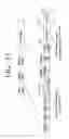 Fig. 47 - Transmitting apparatus and signal processing method thereof