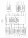 Fig. 07 - Image forming apparatus forming image on paper