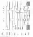 Fig. 08 - Photoelectric conversion device, imaging system and mobile body