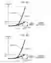 Fig. 06 - Method for converting luminance range of picture signal