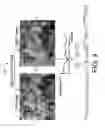 Fig. 05 - Method and apparatus of depth fusion
