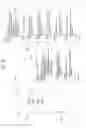 Fig. 53 - Broadcasting signal transmission device, broadcasting signal reception device, broadcasting signal transmission method, and broadcasting signal reception method