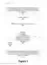 Fig. 04 - Vehicle-to-Everything (V2X) communication authorization in Fifth Generation (5G) systems