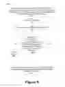 Fig. 06 - Vehicle-to-Everything (V2X) communication authorization in Fifth Generation (5G) systems