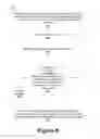 Fig. 09 - Vehicle-to-Everything (V2X) communication authorization in Fifth Generation (5G) systems