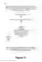 Fig. 12 - Vehicle-to-Everything (V2X) communication authorization in Fifth Generation (5G) systems