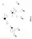 Fig. 07 - Resource coordination with acknowledgement of scheduling grant