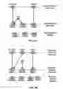Fig. 06 - Configuration for beam failure recovery