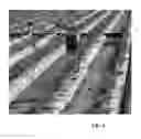 Fig. 07 - ORIENTAL TOBACCO PRODUCTION METHODS