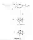 Fig. 04 - METHODS TO PRODUCE POLYMER NANOPARTICLES AND FORMULATIONS OF ACTIVE INGREDIENTS