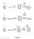 Fig. 08 - METHODS TO PRODUCE POLYMER NANOPARTICLES AND FORMULATIONS OF ACTIVE INGREDIENTS