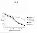 Fig. 06 - LACTIC ACID BACTERIAL FERMENTATION PROMOTING AGENT