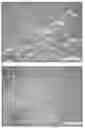 Fig. 01 - METHOD FOR PREPARING AN ICED TEA OR COFFEE BEVERAGE
