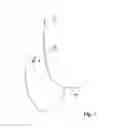 Fig. 04 - LOWER BODY CLOTHING