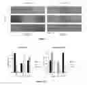 Fig. 06 - Methods of manufacturing a high friction composite material for footwear