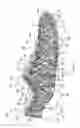 Fig. 02 - Articles of footwear with uppers comprising a wound component and methods of making the same