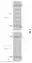 Fig. 04 - MOBILE SUPPORT FOR SEATS